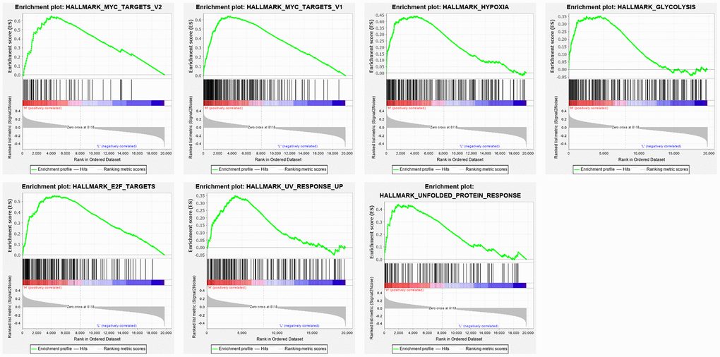 Enrichment plots of seven gene sets which were importantly differentiated between in metastasis and non-metastasis tissues. The horizontal axis represents genes in gene sets ranked by decreasing risk score. The vertical axis represents enrichment scores. The enrichment score increased with the number of enriched genes.