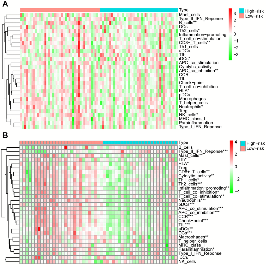 Analysis of 29 immune gene sets between high- and low-risk groups of OS. The heatmap was used to visualize the proportions of these gene sets between high- and low-risk groups of OS in training cohort (A) and validation cohort (B).