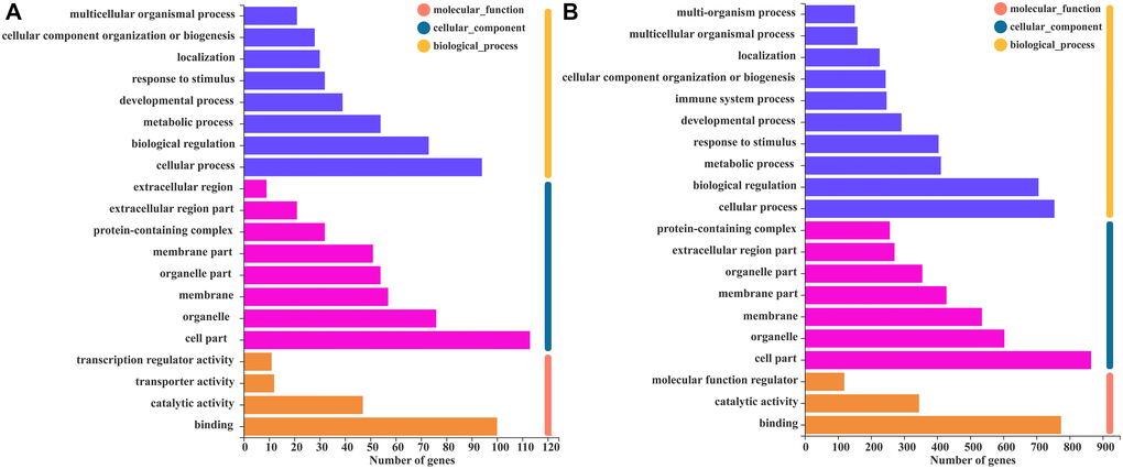 GO function annotation analysis of WGCNA module genes. (A) The GO function annotation analysis histogram of the MEgreen module. (B) The GO function annotation analysis histogram of the MEblue module, which includes biological processes, cell components, and molecular functions.