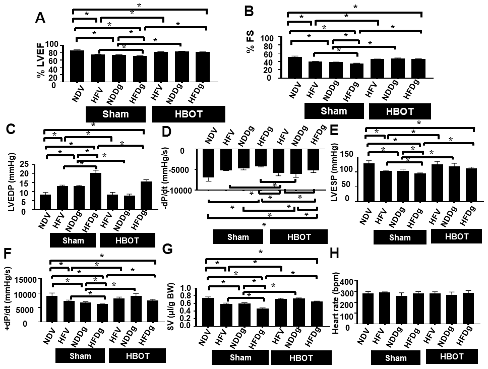 Effect of HBOT on cardiac function in pre-diabetic rats after induction of aging by D-gal. (A) Ejection fraction. (B) Fractional shortening. (C–H) P-V loop Analysis. NDV, normal diet fed rats with vehicle; NDDg, normal diet fed rats with D-gal; HFV, high-fat diet fed rats with vehicle; HFDg, high-fat diet fed rats with D-gal; EF, ejection fraction; FS, Fractional shortening; HBOT, hyperbaric oxygen therapy. (n = 8/group). *P 