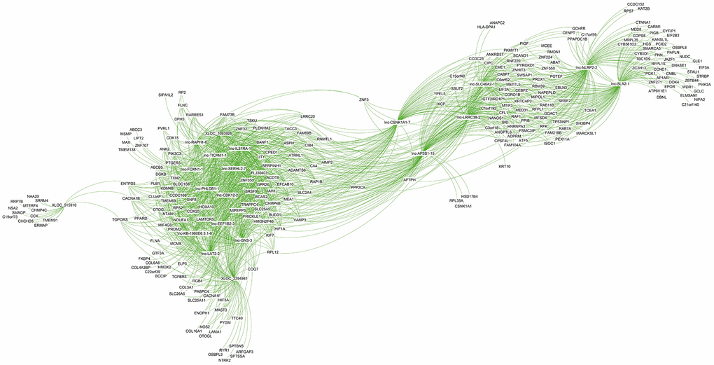 Co-expression subnetwork of the top 20 differentially expressed lncRNAs.