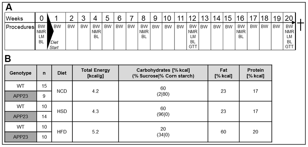 Experimental design and nutritional values of diets. (A) Experimental procedures: In week 0, baseline measurements of body composition (NMR) and indirect calorimetry (LM) were conducted, as well as the first blood withdrawal (BL). Diets were fed from week 1 to 20. Body weight was assessed weekly. Monthly, NMR and BL were performed. In week 12 and 20, mice additionally underwent LM measurements and glucose tolerance tests (GTT). (B) Group layout and diet composition: 4-6-week old transgenic APP23 and WT mice were assigned to either normal-control diet (NCD), high-sucrose diet (HSD) or high-fat diet (HFD). Shown n numbers represent animal numbers for all measurements in living animals and in the animals’ blood.