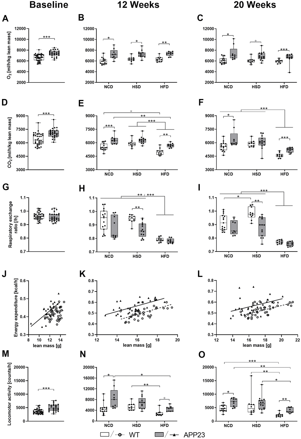 O2 consumption, CO2 production, respiratory exchange ratio, energy expenditure, and activity during active phase at baseline (left column), after 12 (middle column) and 20 weeks of diet (right column). (A–C) Averaged O2 consumption per hour and (D–F) averaged CO2 production per hour (both adjusted for lean mass) as well as (G–I) corresponding mean respiratory exchange ratio. (J–L) Averaged energy expenditure per hour correlated with lean mass and (M–O) averaged locomotor activity per hour. Data are represented as box (25th to 75th percentile) with median and whiskers from minimum to maximum. Black asterisks indicate significant differences between groups (*: pA, D, G, M), nonparametric multiple contrast Tukey-type test (B, C, E, F, H, I, N, O), and Spearman correlation followed by ANCOVA (J–L). nNCD WT=15, nNCD APP23=9, nHSD WT=10, nHSD APP23=14, nHFD WT=10, nHFD APP23=10.