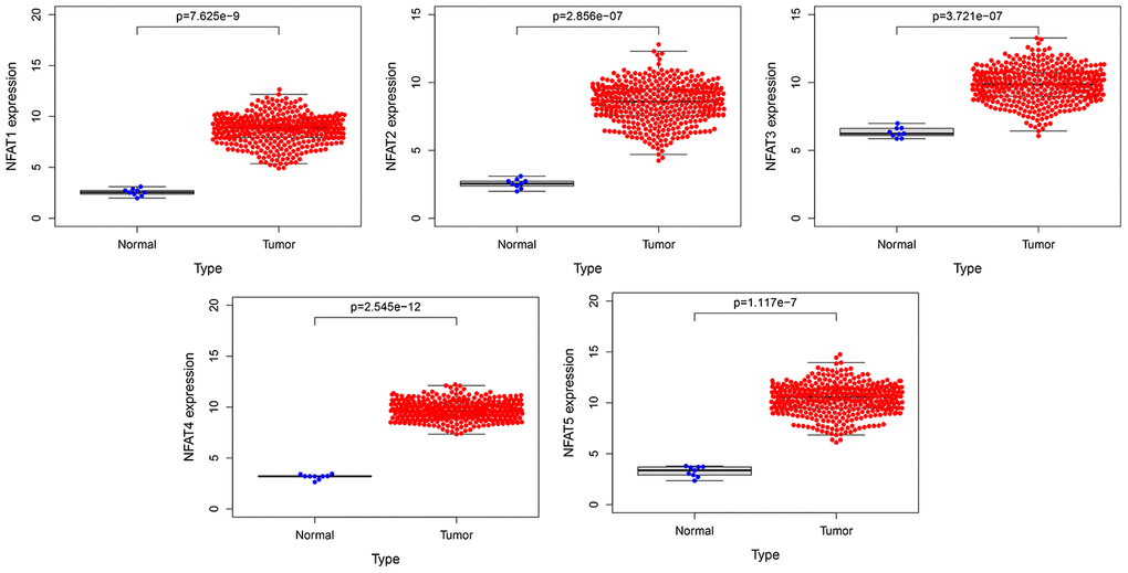 The expression of NFAT family gene in BLCA. Blue represents the expression of normal tissues in the GTEx database, and red represents the expression of BLCA patients in the TCGA database.