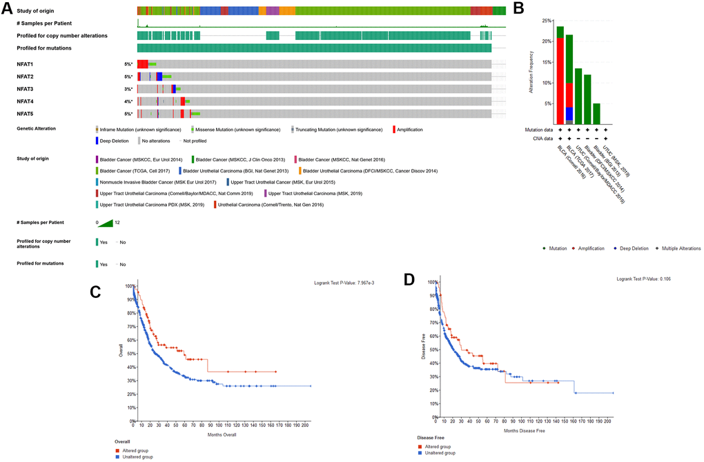 Genetic alterations of NFAT family genes. (A) Oncoprint visual summary of genetic alterations in NFAT family members. (B) Summary of genetic alterations in NFAT family members. (C) Kaplan-Meier survival curves for OS in cancer patients with genetic alterations. (D) Kaplan-Meier survival curves for DFS in cancer patients with genetic alterations.