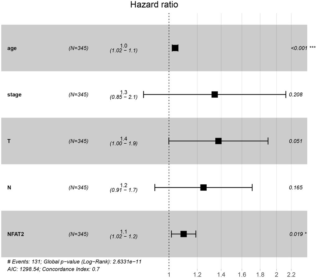 NFAT2 is an independent prognostic factor of BLCA. Multivariate Cox proportional hazard model of the expression of NFAT2 and clinical factors.