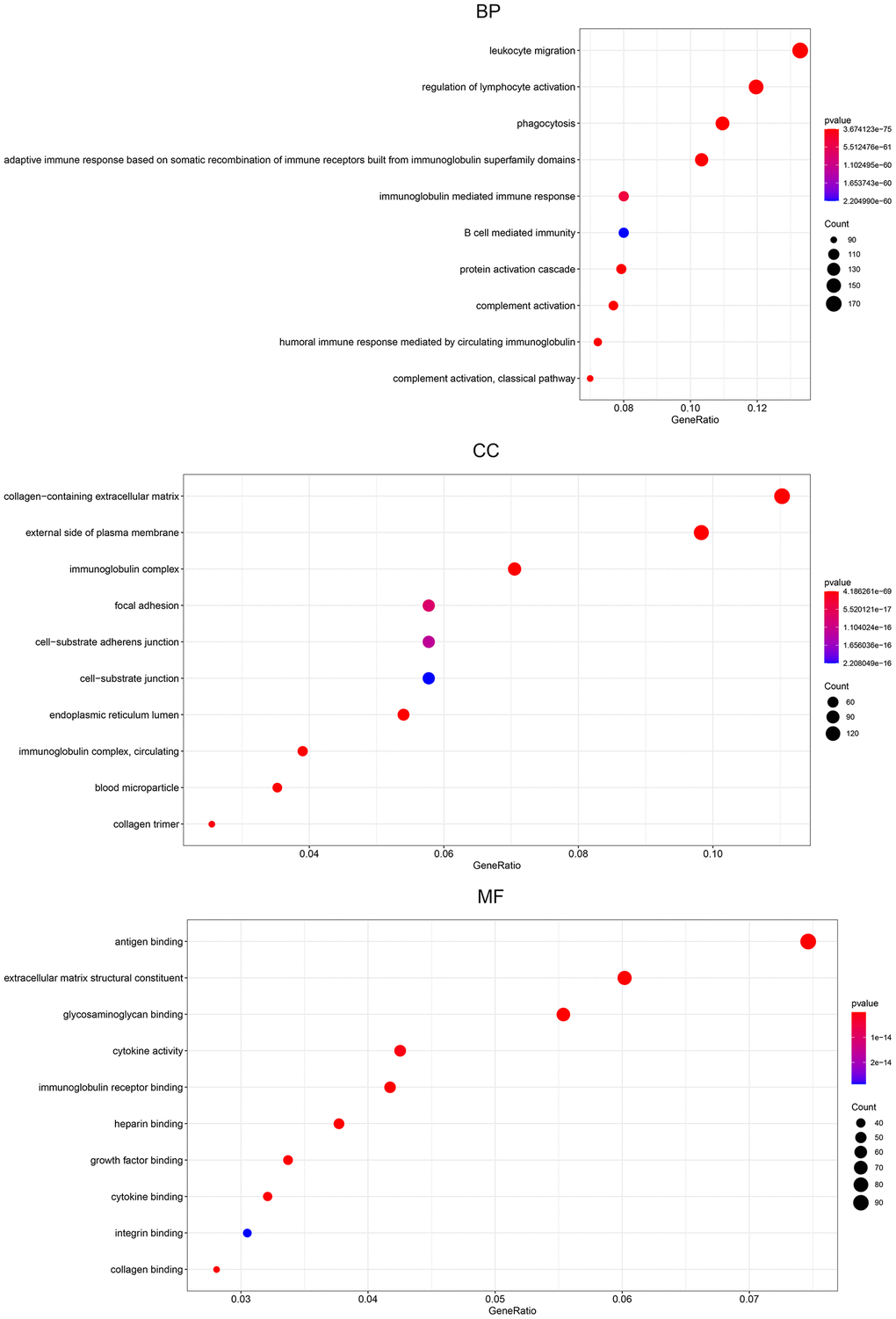 Gene ontology pathway enrichment analysis of DEGs. The rich factor demonstrates the degree of enrichment by GO. The node size represents the number of selected genes, and color represents the P-value of the enrichment analysis. CC, cellular component; MF, molecular function; BP, biological process.