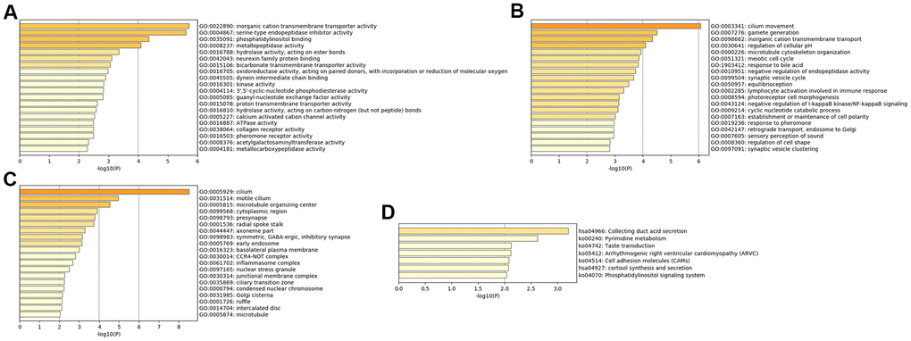 Bar graph of enriched terms across input MDD-specific genes, colored by p-values. Provided gene identifiers were first converted into corresponding H. sapiens Entrez gene IDs using the latest version of the database (last updated on 2020-09-16). If multiple identifiers corresponded to the same Entrez gene ID, they were considered as a single Entrez gene ID in downstream analyses. For each given gene list, pathway and process enrichment analyses were performed using the following ontology sources: (A) GO MFs; (B) GO BPs; (C) GO CCs; (D) KEGG pathways. All genes in the genome were used as the enrichment background. “Log10(P)” is the p-value in log base 10.