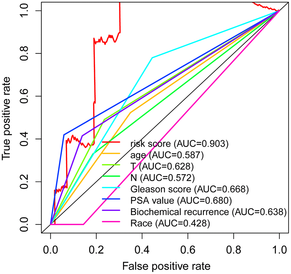 Independent predictive factor in prostate cancer patients. Receiver operating characteristic (ROC) curve analysis shows the prognostic accuracy of clinicopathological parameters such as age, T stage, N stage, Gleason score, PSA value, biochemical recurrence, Race, and autophagy-related lncRNA prognostic risk score.