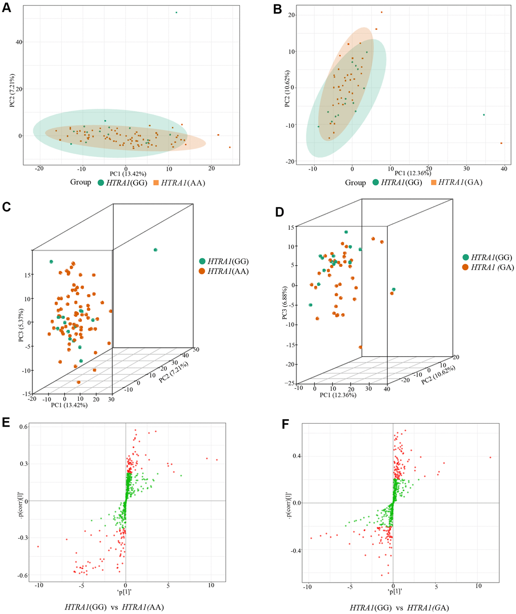 PCA results and OPLS-DA S-plot of three HTRA1 rs10490924 genotypes. (A, B) show the two-dimensional PCA map of the degree of variation between the two groups of genotypes GG and AA, GG and GA. (C, D) are the three-dimensional PCA map. From the graphs, we can see that the degree of variation between genotypes GG and AA or between genotype GG and GA is relatively small. (E, F) are OPLS-DA S-plot of three HTRA1 genotypes compared among groups. (E) shows the results of HTRA1 genotypes GG and AA, and (F) shows the results of GG and GA. This diagram mainly shows the number of metabolites whose VIP value is greater than or less than 1 in the detected metabolites between groups. The abscissa represents the correlation coefficient of the principal component and metabolite, and the ordinate represents the correlation coefficient of the principal component and metabolite. The closer the metabolite is to the upper right corner and the lower-left corner, the more significant the difference is. The red dots indicate that the metabolites have VIP values greater than or equal to 1, and the green dots indicate that the metabolites have VIP values less than 1.