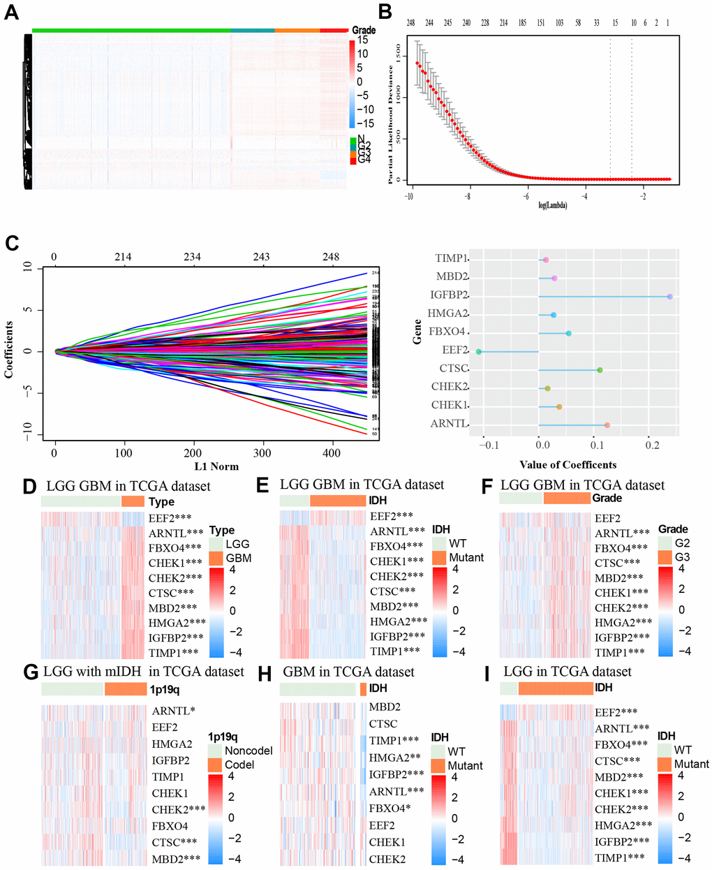 (A) The association between the expression level of aging-related genes and grade of tumor based on the TCGA dataset was showed by heat map. (B, C) LASSO coefficients of the aging-related genes for OS were calculated. The genes with the 10 highest scores are shown. (D–I) The heat maps, based on the TCGA database, showed downregulated mRNA (blue) or upregulated mRNA (red) of the ten aging-related genes in the subgroups.* p 