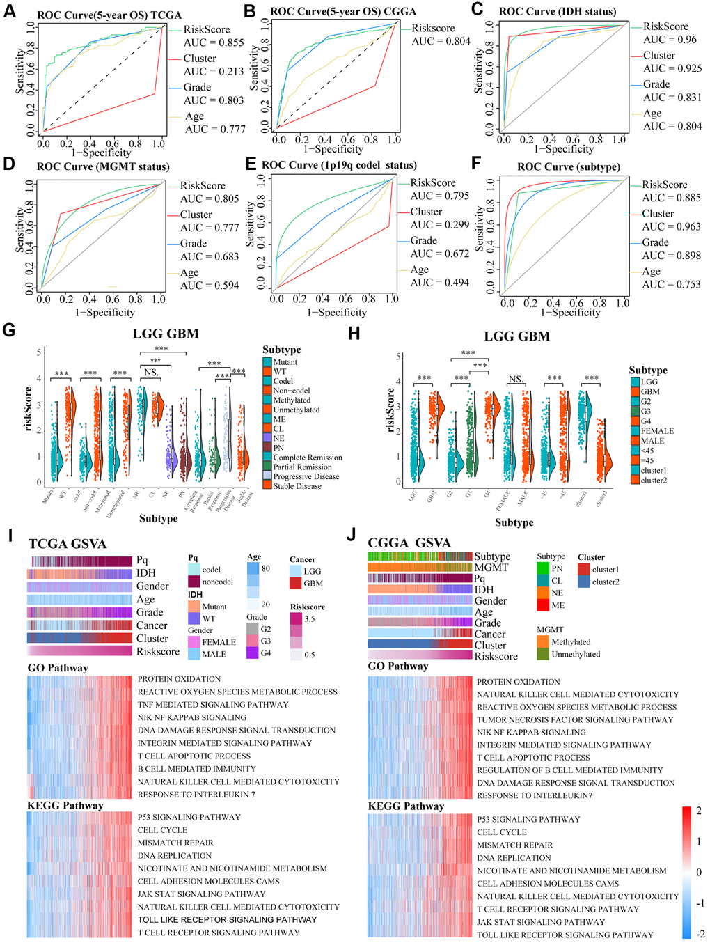 (A–F) ROC curves exhibited the predictive effect of the four indicators on the clinical characteristics including 5-year OS, IDH status, MGMT status, 1p19q codel status and subtype of glioma cases. (G, H) The differences in risk scores between subgroups classified by IDH wildtype, 1p19q noncodel, MGMT promoter unmethylated, subtype, GBM groups, higher grades, age, and cluster of LGG and GBM patients based on the TCGA dataset. (I, J) GO and KEGG analyses for the risk scores using GSVA. The gene set enrichment of several pathways (lower two panels), and distribution of clinical features, clusters, and risk scores (upper panel) were exhibited by the heat map based on TCGA and CGGA. NS. p > 0.05, *** p 