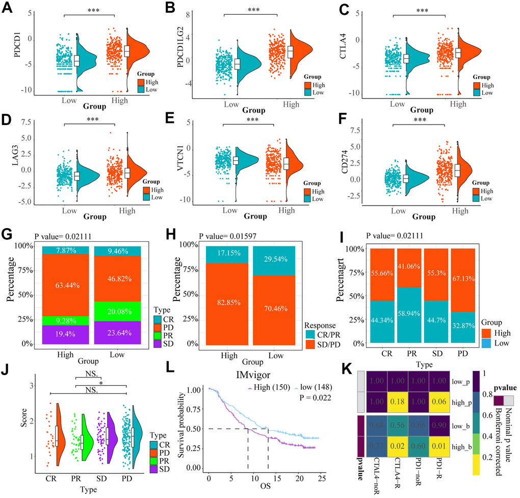 The heat maps (A–F) showed the different expression conditions of immune checkpoints in low and high-risk groups. (G, H) The bar charts showed the distribution of the prognosis of cases in high and low-risk score group based on IMvigor datasets. (I, J) These pictures showed the risk score distribution of cases with different prognosis in IMvigor datasets, (L) The OS of cases in high and low risk score groups from IMvigor dataset. (K) Submap analysis indicated that patients with high risk score could be more responsive to anti-CTLA-4 (Bonferroni corrected P = 0.02) and anti-PD-1 therapy (Bonferroni corrected P = 0.01) based on TCGA datasets. NS. p > 0.05, * p 