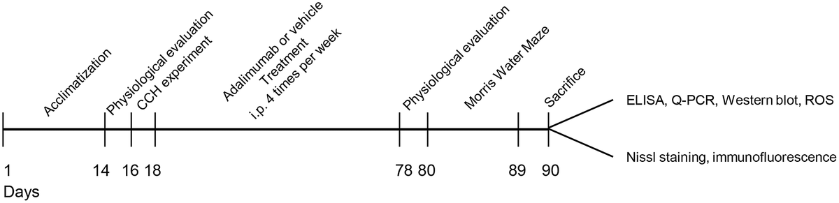 class="figure-viewer-img"