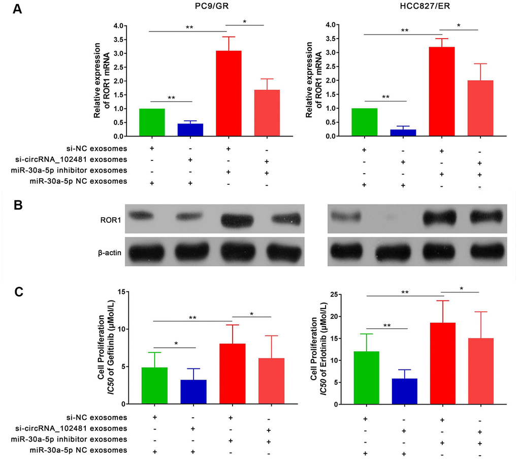 Effects of exosomes on circRNA