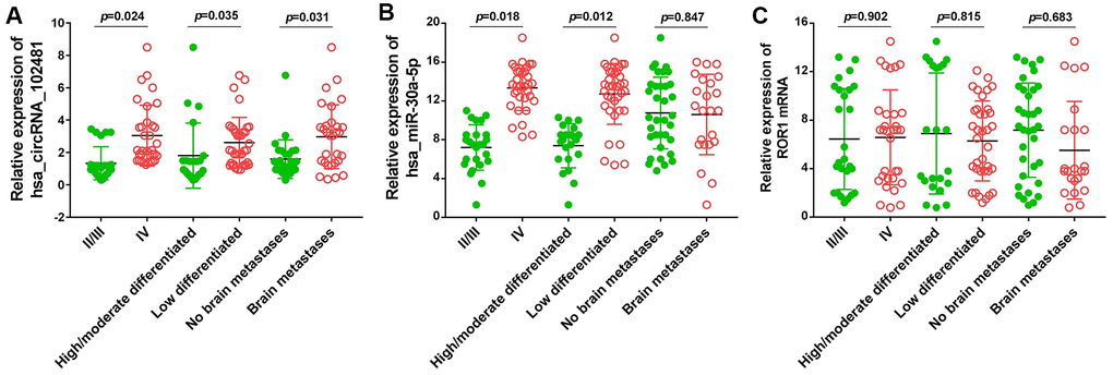 Relationship between exosomes circRNA