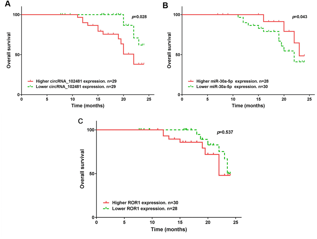 Kaplan-Meier OS curve stratified by exosomes circRNA