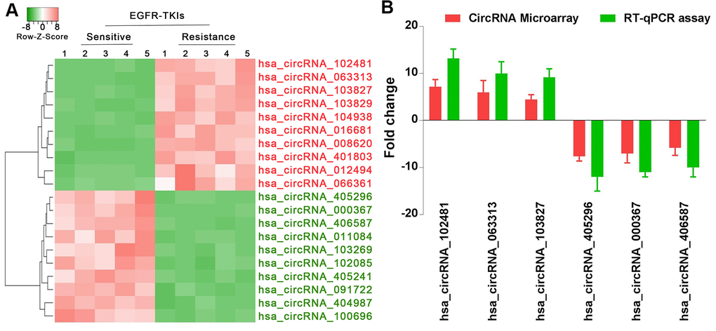 circRNA