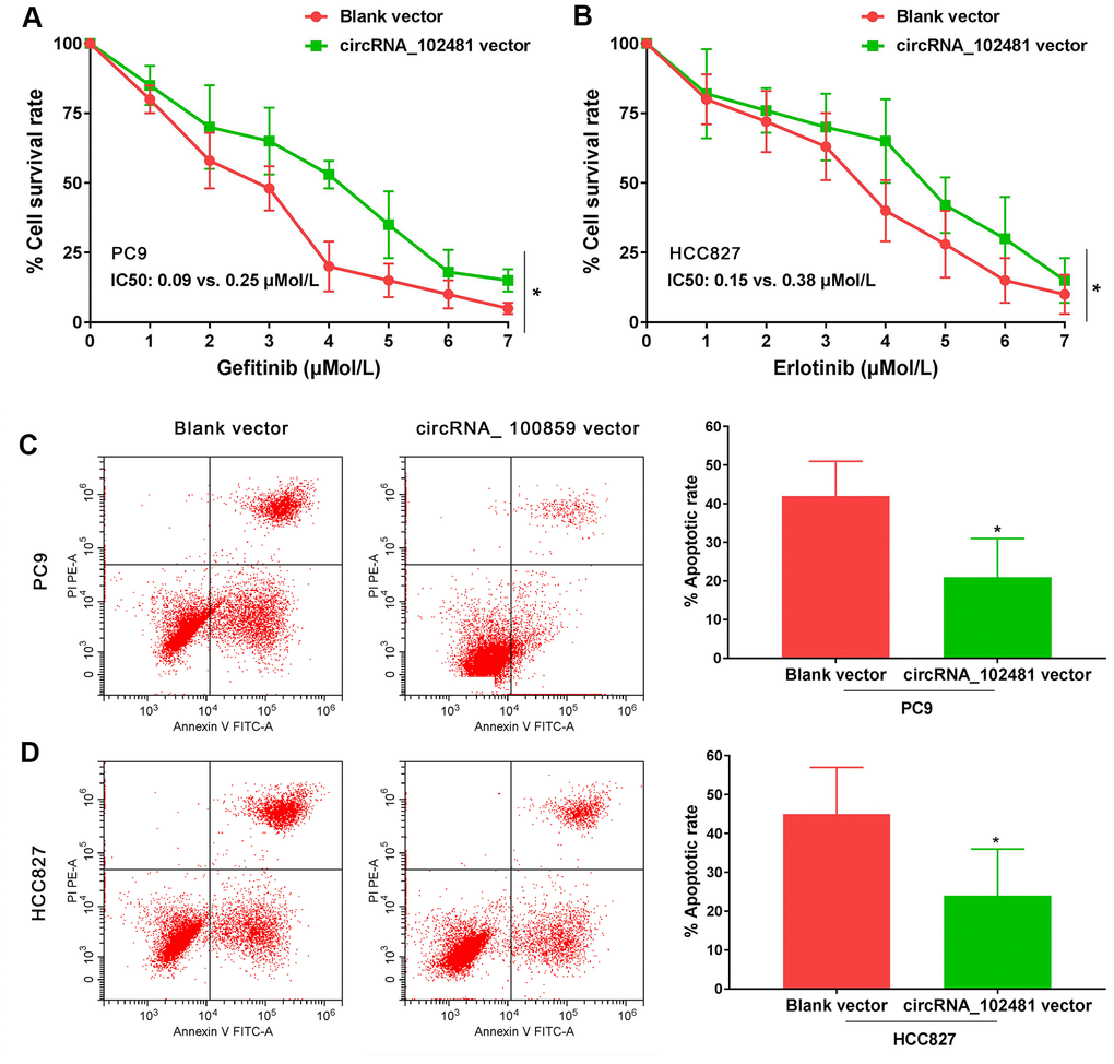 Functional validation assay of exosomes circRNA