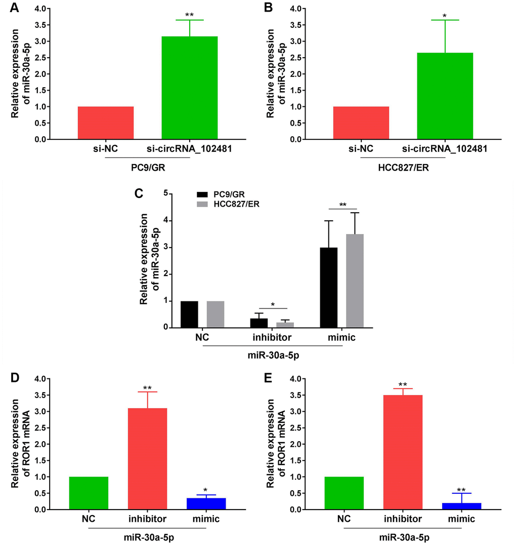 Effects of exosomes on circRNA