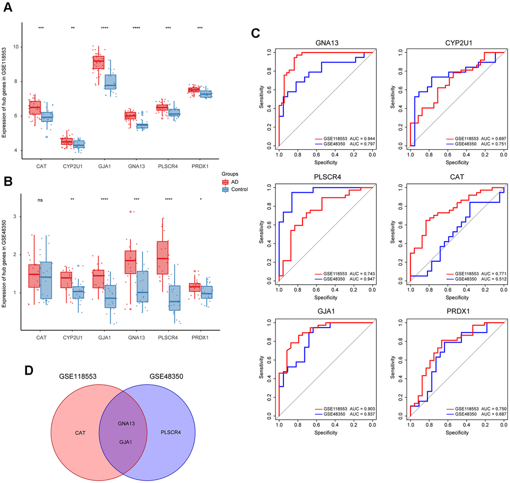 Identification of the refined hub genes. (A, B) Expression of the hub genes in GSE118553 (A) and GSE48350 (B). (C) ROC analysis of the 6 hub genes in GSE118553 and GSE48350. (D) The intersection of the top 3 genes with the highest AUC value in ROC analysis based on GSE118553 and GSE48350. Data were presented as the mean ± SD in each group. ns, p > 0.05, * p p p p 