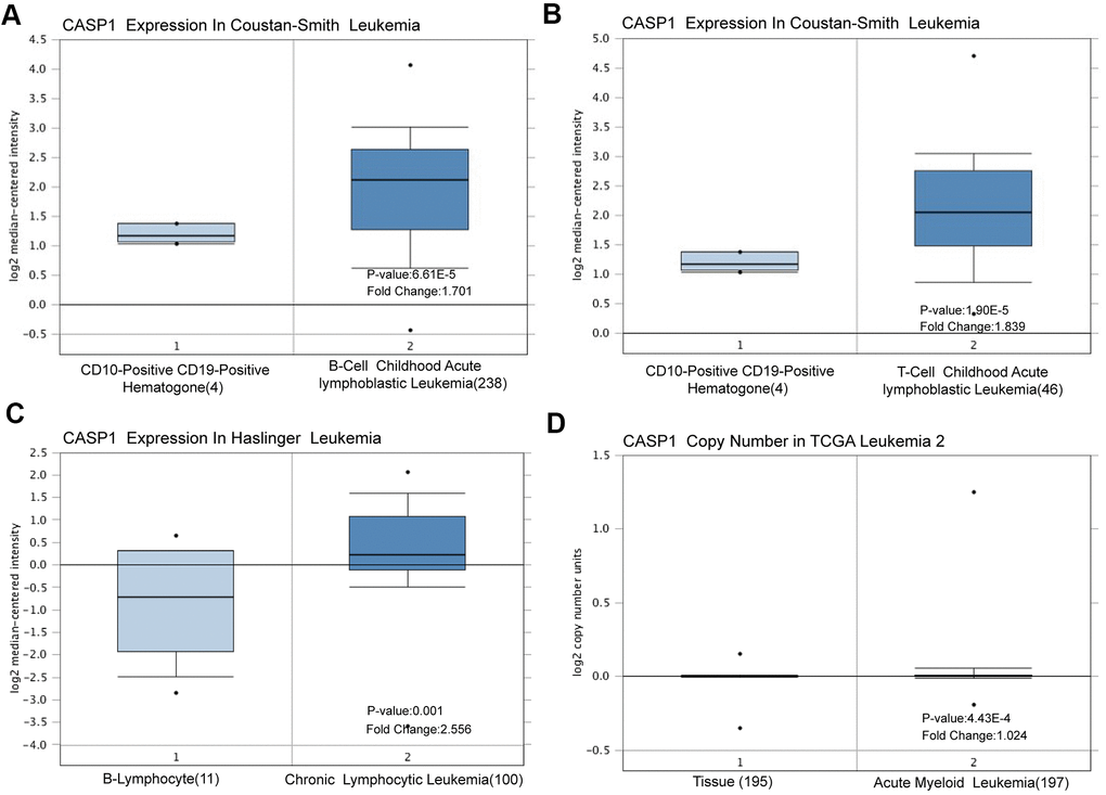 CASP1 transcription in leukemia (Oncomine). CASP1 mRNA expression and DNA copy number were highly in leukemia than in normal blood samples. (A–C) CASP1 mRNA expression levels were shown by box plot in Constant-Smith leukemia, and Haslinger leukemia respectively. (D) CASP1 copy number was shown by box plot in The Cancer Genome Atlas (TCGA) Leukemia 2 datasets.