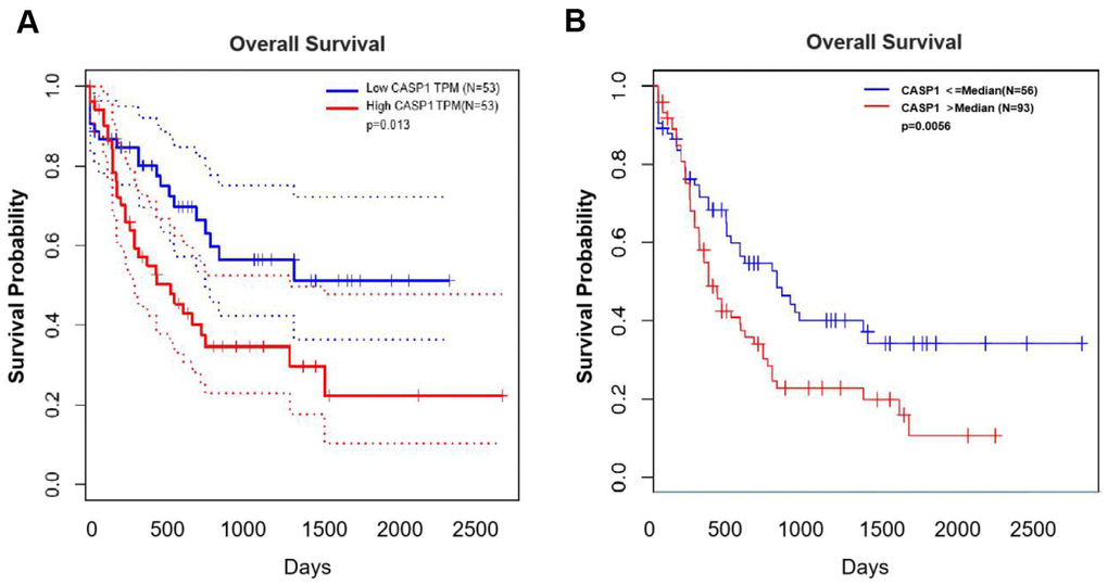 The prognostic value of mRNA level of CASP1 in AML (GEPIA and LinkedOmics). (A) GEPIA showed the prognostic value of CASP1 mRNA expression levels in AML. (B) LinkedOmics showed the prognostic value of CASP1 mRNA expression levels in AML.