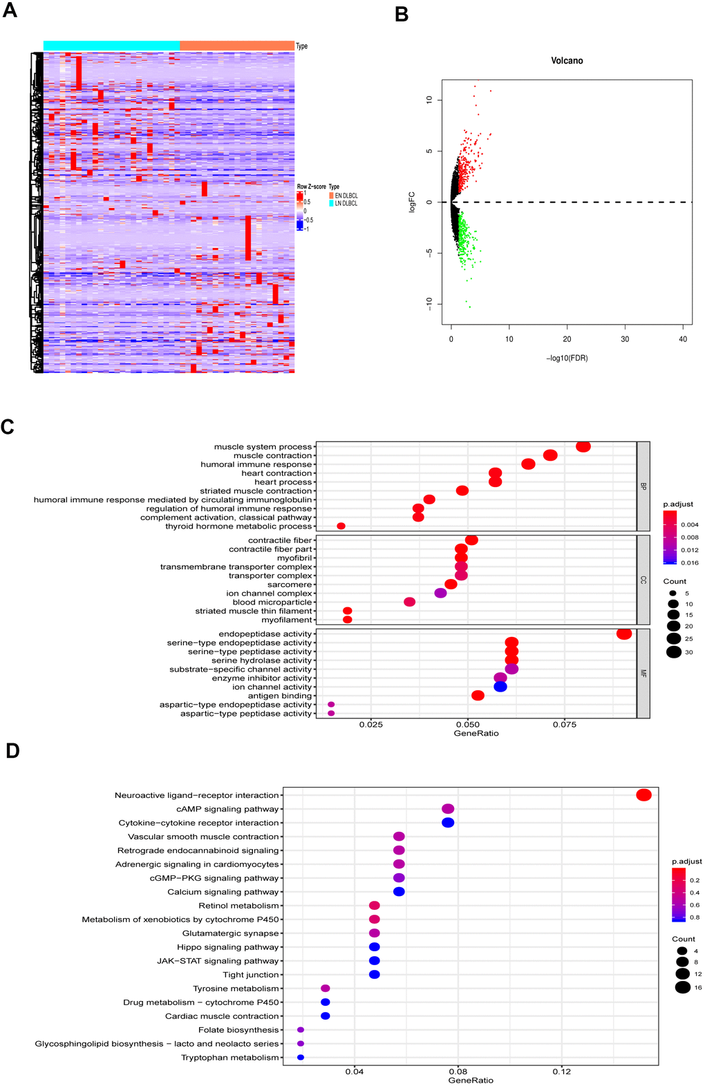 The DEGs between LN DLBCL and EN DLBCL. (A) The heatmap and (B) volcano plot of 1168 DEGs between 21 LN DLBCL and 25 EN DLBCL; (C) The GO and (D) KEGG analyses of 1168 DEGs. Abbreviations: DEGs, Differentially expressed genes; DLBCL, Diffuse large B-cell lymphoma; GO, Go Ontology; KEGG, Kyoto Encyclopedia of Genes and Genomes.