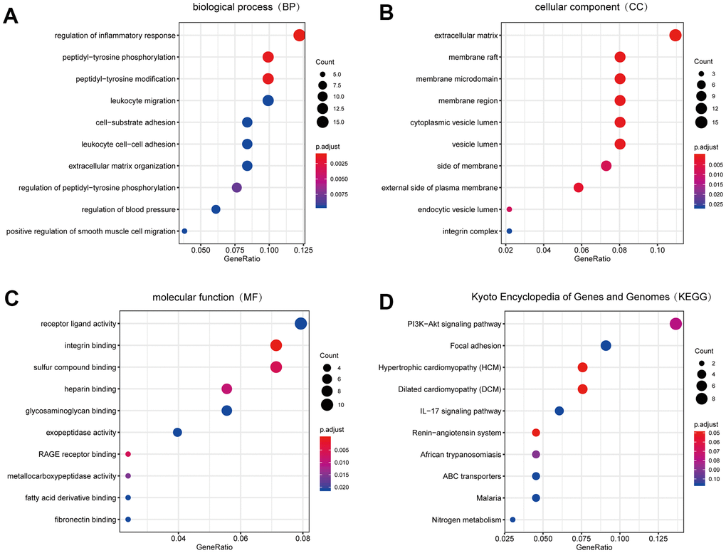 The result of GO and KEGG pathway enrichment analyses. (A) Biological process GO terms for DEGs. (B) Cellular component GO terms for DEGs. (C) Molecular function GO terms for DEGs. (D) KEGG pathways for DEGs. Top 10 sorted by GeneRatio of GO terms or KEGG pathways were shown. GO: Gene Ontology; KEGG: Kyoto Encyclopedia of Genes and Genomes. DEGs: differentially expression genes.