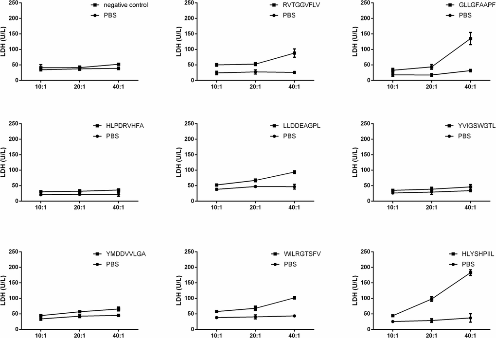 T2 cell cytotoxicity assay of each epitope-specific T cell type. T2 cells were pulsed with peptide and lysed by epitope-specific T cells obtained from peripheral blood mononuclear cells (PBMCs). The mean ± SD from 3 independent experiments is shown.