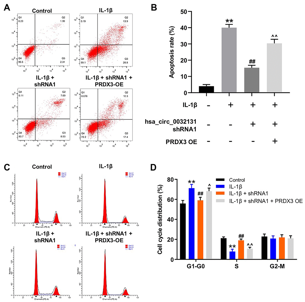 Overexpression of PRDX3 reversed the effect of hsa