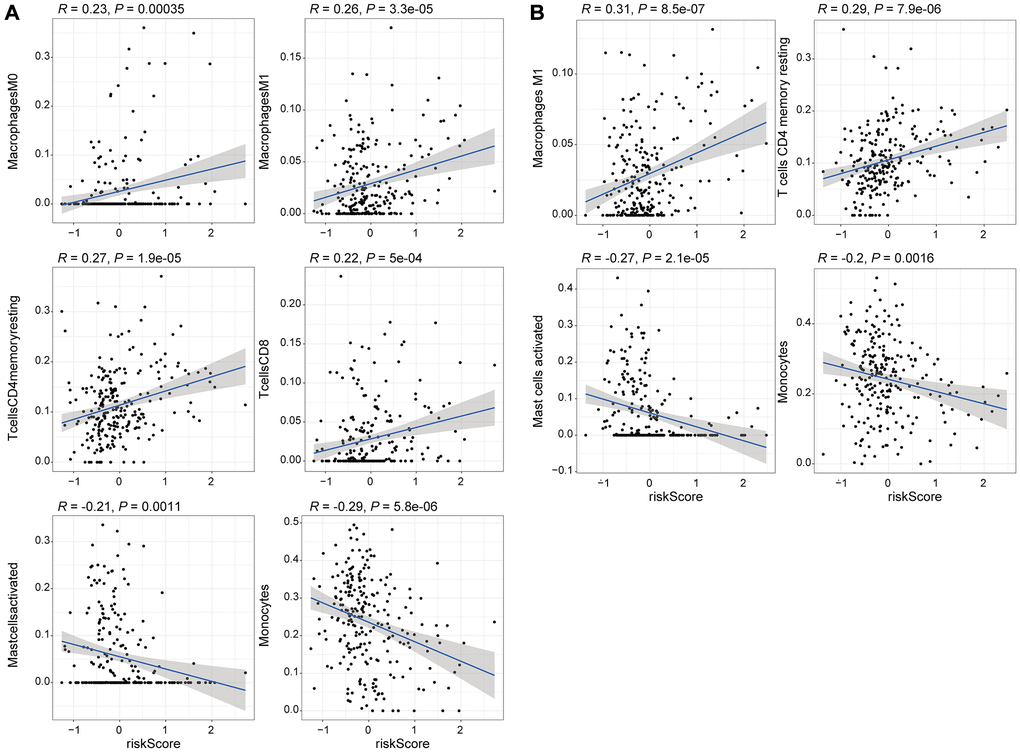 Correlation analysis of the 8 genomic instability-associated lncRNAs with infiltration of each subtype of immune cells. (A) Correlation coefficients for M0 macrophages, M1 macrophages, memory resting CD4 T cells, and CD8 T cells for the training set were 0.23, 0.26 0.27, 0.22 (p p p B) The correlation coefficients among the risk scores for M1 macrophages, memory resting CD4 T cells, activated mast cells and monocytes for the validation set were 0.31, 0.29, –0.27 and –0.2, respectively (p 