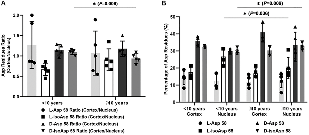 (A) The cortex/nucleus ratio of each Asp 58 isomer in αA-crystallin of two subgroups of DC lenses according to the duration of diabetes (less than ten years and more than ten years). (B) The percentage of each Asp 58 isomer in αA-crystallin of two subgroups of DC lenses according to the duration of diabetes (less than ten years and more than ten years).