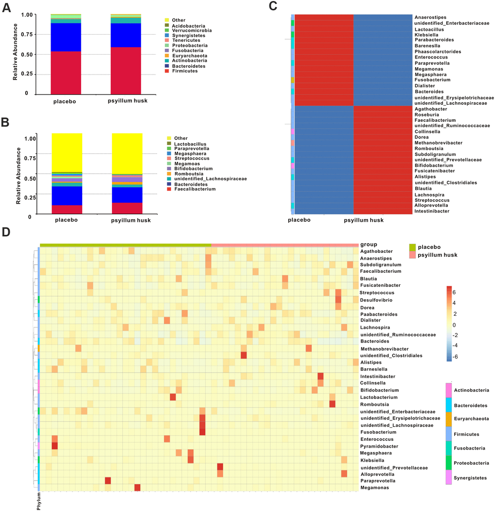 Relative abundance of microbial communities at the phylum and genus levels in both groups. (A) The average relative abundance of gut microbiota at the phylum level is shown by bar plot in each group. (B) Box plot showing relative abundances of microbial communities at the genus level in both groups. The cluster heatmap shows the differences in gut microbiota at the genus level between the groups (C) and among all samples (D).