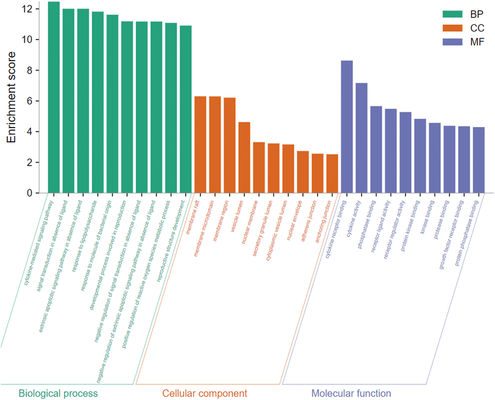 The top 10 of biological process, cellular component, and molecular function from GO terms analysis were illustrated by bar diagrams with enrichment scores (the x-axis represents top 10 GO terms, and the y-axis indicates the p-value).