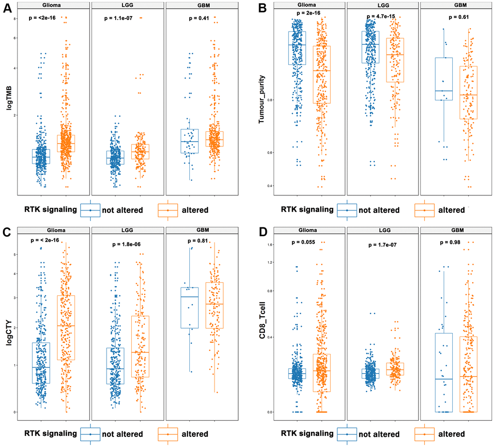 The landscape of immunotherapy predictive biomarkers in association with RTK/Ras/PI3K/AKT pathway. It displayed that elevated TMB (A), CYT (C), and infiltrating CD8+ T cells (D), and decreased tumor purity (B) in the activated RTK/Ras/PI3K/AKT pathway.