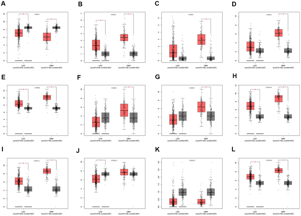 Differential expression of S100A family genes in LGG, GBM and normal tissues. (A) S100A1, (B) S100A2, (C) S100A3, (D) S100A4, (E) S100A6, (F) S100A8, (G) S100A9, (H) S100A10, (I) S100A11, (J) S100A13, (K) S100A14, (L) S100A16. *P 