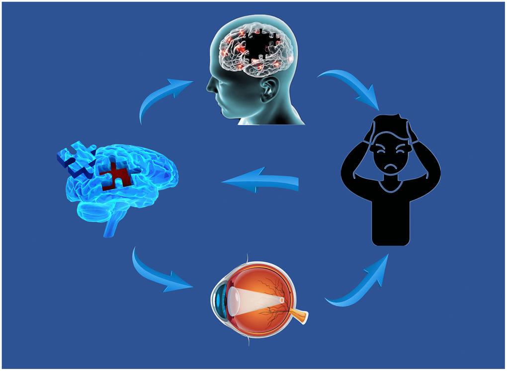 Relationship between MRI images and clinical manifestations in MCI. Abbreviations: MRI, magnetic resonance; MCI, mild cognitive impairment.