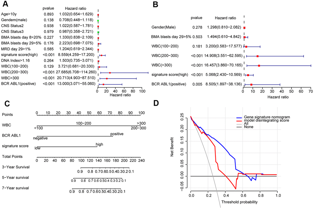 Construction of a nomogram for overall survival prediction in cALL (A, B). Univariate and multivariate Cox regression analyses of clinical factors associated with overall survival. (C). The nomogram consists of BCR ABL1 status, WBC count at diagnosis and the signature score. (D) Decision curve analysis for the cALL nomogram.