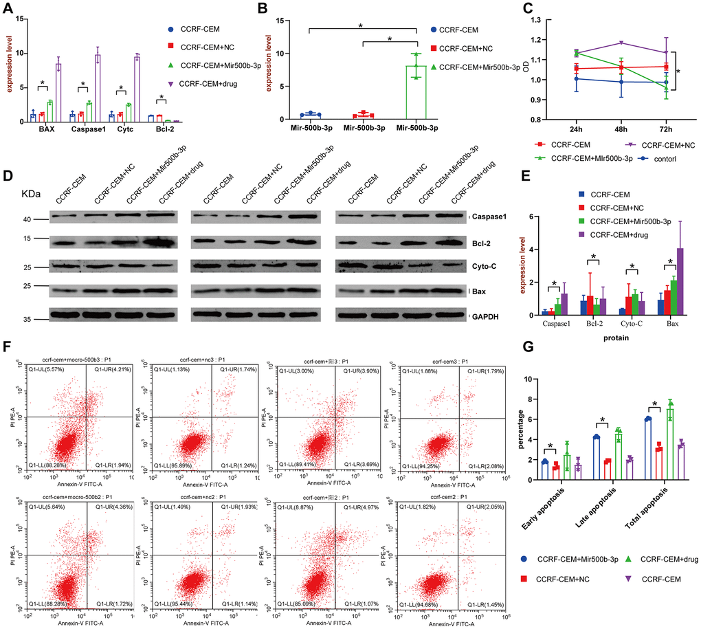 LINC01278 affects apoptosis in CCRF-CEM cells. (A) The BAX, Caspase1, Cytc and Bcl-2 mRNA expression of the CCRF-CEM cell model with LINC01278 knock down. (B) The miR-500b-3p expression of the CCRF-CEM cell model with LINC01278 knock down. (C) The proliferation of the CCRF-CEM cell model with LINC01278 knock down. (D, E) The protein expression of BAX, Caspase1, Cytc and Bcl-2 in the CCRF-CEM cell model with LINC01278 knock down. NC indicates normal control; drug indicates a control group that was exposed to a drug. (F, G) The apoptosis of the CCRF-CEM cell model with LINC01278 control group with positive drugs down; *P