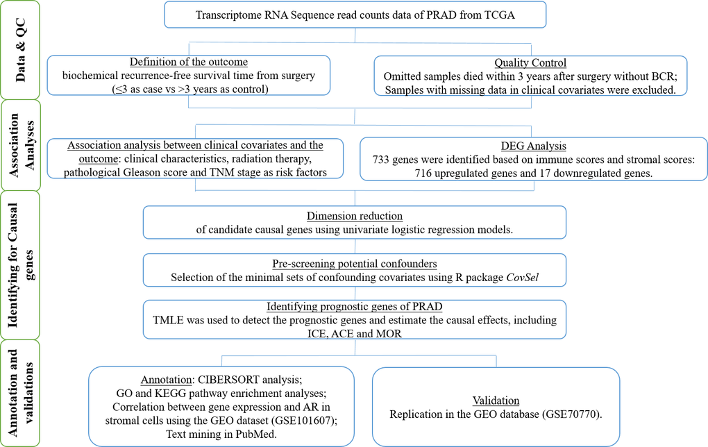 The workflow schematic for identifying prognostic biomarkers in PRAD.