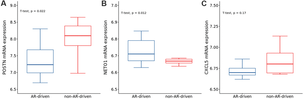 The expressions of (A) POSTN, (B) NETO1 and (C) CXCL5 in AR- and non-AR-driven groups using GSE101607. T-test was used to measure the difference between the two groups.