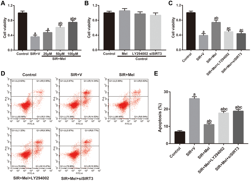 Effects of melatonin on cell viability and apoptosis in high glucose-treated HT22 cells after SIR operation. (A–C) Cell viability was measured by the CCK8 kit. (D) Representative images for apoptosis assessed by flow cytometry. (E) Quantitative analysis of the levels of apoptosis. Data were presented as the mean ± SEM (n = 6). ap bp cp ep 