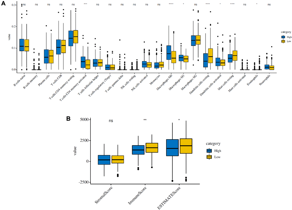 Immune infiltration in the high-risk and low-risk groups in the TCGA cohort. (A) The infiltrating levels of 21 immune cell types in the two groups (cluster 1/2). *p **p B) Immune score and stromal score of the two groups.