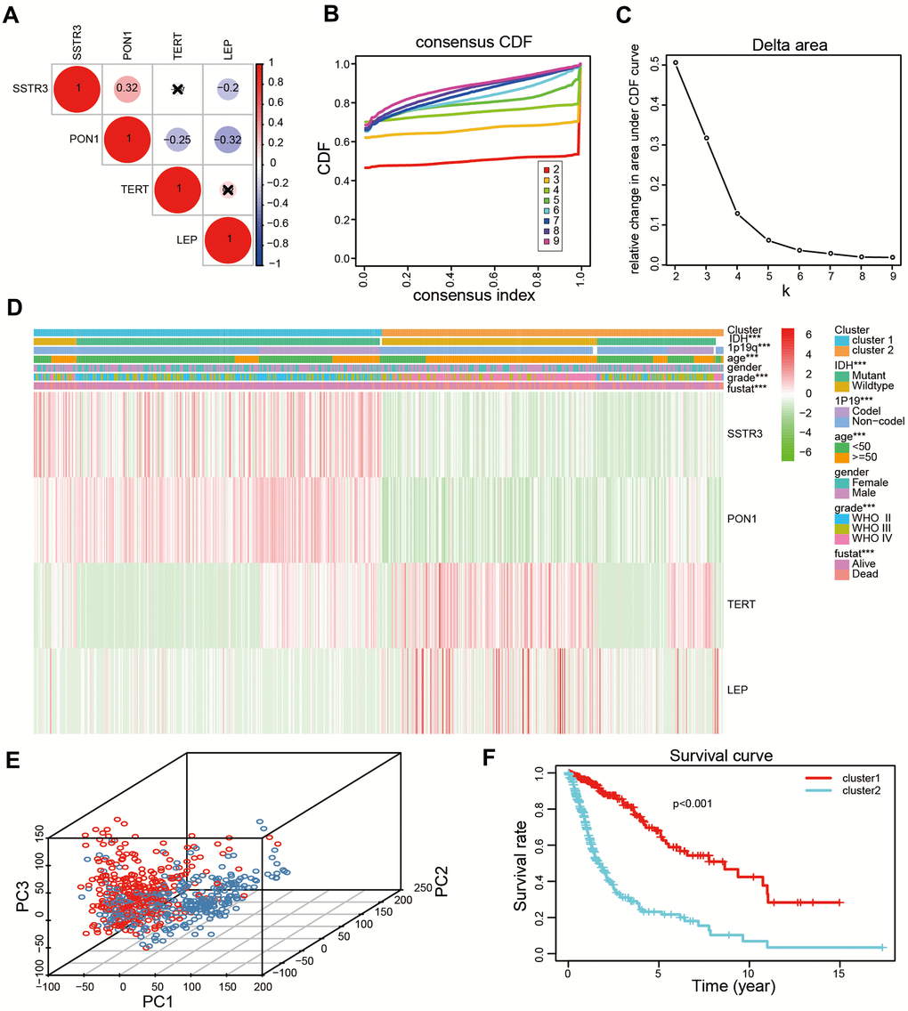 Two categories of patients based on distinct clinical characteristics and the OS according to the expression levels of the four survival-associated AGs in the TCGA datasets. (A) Spearman’s correlation analysis of the four survival-associated AGs (LEP, TERT, PON1, and SSTR3) in the TCGA datasets. (B) The relative change of the area under the cumulative distribution function (CDF) for K =2-9. (C) The consistency clustering CDF curve for K = 2-9. (D) Clinical characteristics of two clusters identified based on the expression levels of the four survival-associated AGs in the TCGA datasets. (E) Principal component analysis (PCA) for the total mRNA expression profile based on TCGA datasets. (F) Kaplan-Meier (KM) curves for 628 cluster1 and cluster2 glioma patients based on the TCGA datasets. * P P P 