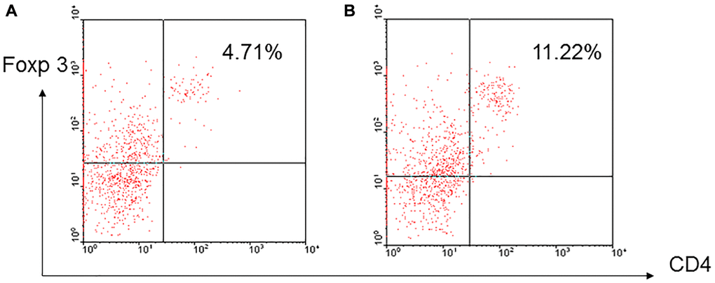 A representative of induced regulatory T-cells. Enriched T-cells derived from aged and young B10 mice were activated by C3H DC for 3 days, a higher frequency of CD4+foxp3+ regulatory cells was induced in the T-cells derived from aged mice (B) than young mice (A) (7.87 ± 3.42% versus 5.04 ± 2.71%, p = 0.023).