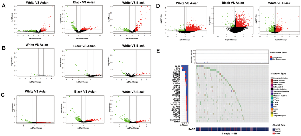 Transcriptomics, epigenome and SNPs difference analysis for PCa of different RACES. mRNA expression (A) miRNA expression (B) lncRNA expression (C) DNA methylation level (D) differential analysis for White people and Asian people, Black people and Asian people, White people and Black people, respectively. (E) SNPs status differential analysis (such as mutation rate, mutation type.ect) for White, Black and Asian people in TCGA patients.