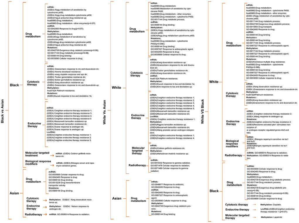 Metabolism pathway difference analysis according to multi-omics for races, of which drug metabolism, cytotoxic therapy, endocrine therapy, radiotherapy, molecular targeted therapy, biological response modifiers therapy differences were the main focus. Unless otherwise specified, all the significance P value 