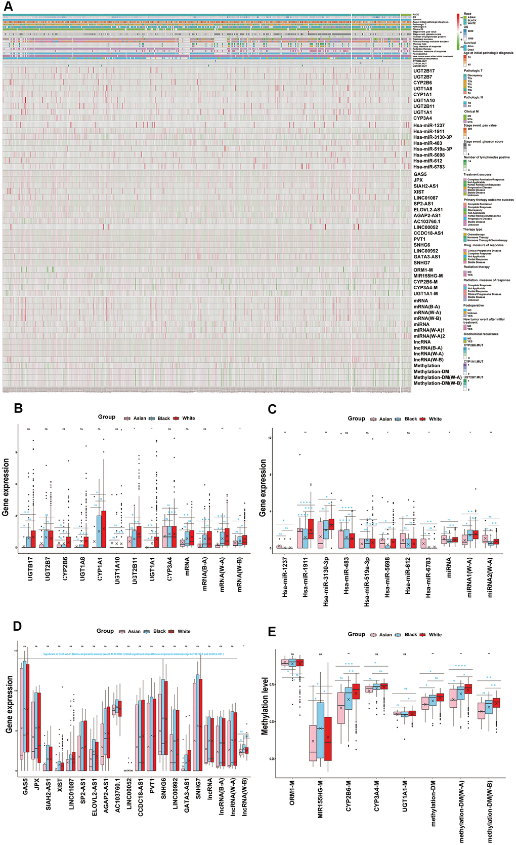 Key functional modules with ethnic differences were identified for each omics. (A) Multi-omics key functional modules core genes differences analysis for races, as both single gene or total, which were shown in hot map. (B) The core genes of mRNA key functional module (drug metabolism) differences analysis for RACES as both single gene or total. (C) The core genes of miRNA key functional module (platinum resistance and antineoplastic agent response) differences analysis for RACES as both single gene or total. (D) The core genes of lncRNA key functional module (endocrine therapy resistance) differences analysis for RACES as both single gene or total. (E) The core genes of methylation key functional modules (drug metabolism, molecular targeted therapy and response to radiation) differences analysis for RACES as both single gene or total. (Notes: mRNA, miRNA, lncRNA, methylation expressed as the mean value of the core genes of each key functional module, methylation-DM expressed as the mean value of drug mentalism-related methylations, miRNA 1 expressed as the mean value of antineoplastic agent response related core miRNAs, miRNA 2 expressed as the mean value of platinum resistance related core miRNAs, B-A, W-A, W-B expressed as the mean value of core genes of each key functional modules which significant in Black people VS Asian people, White people VS Asian people, White people VS Black people, respectively).