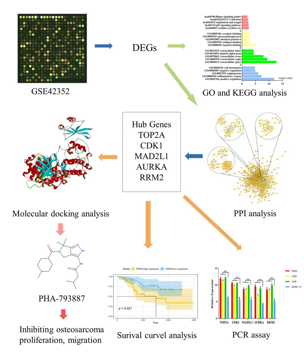 Study framework. The first image was selected to represent the tissue datasets from the Gene Expression Omnibus database.